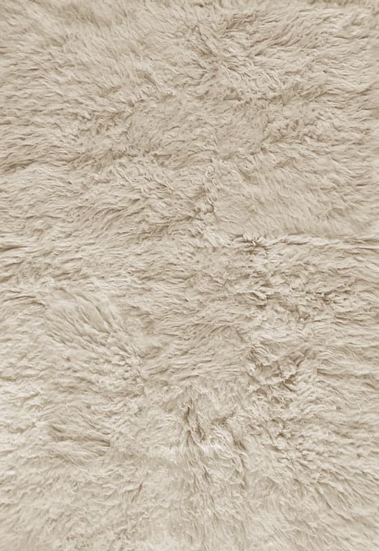 Shaggy oatmeal wool rug photographed in a styled interior